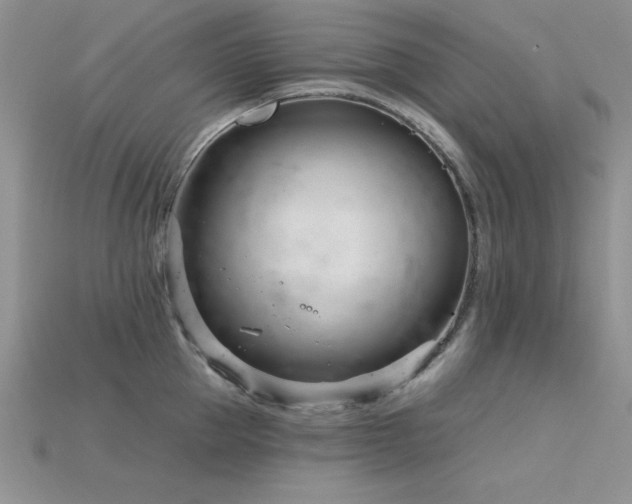 X0000115830953200911131503