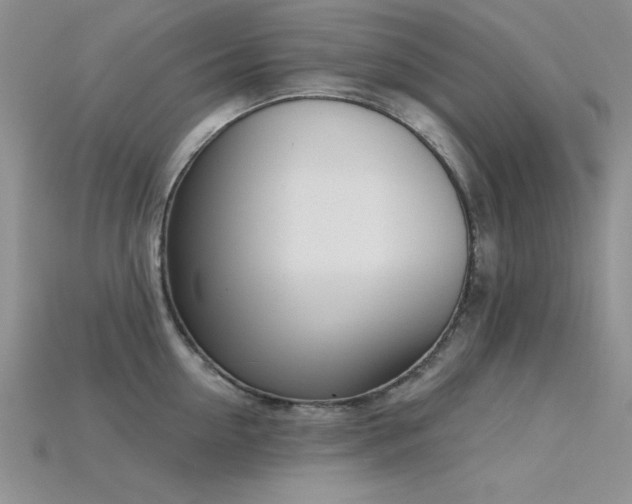 X0000115830954200911131503