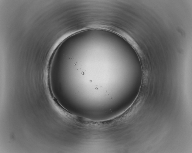 X0000115830955200911131503