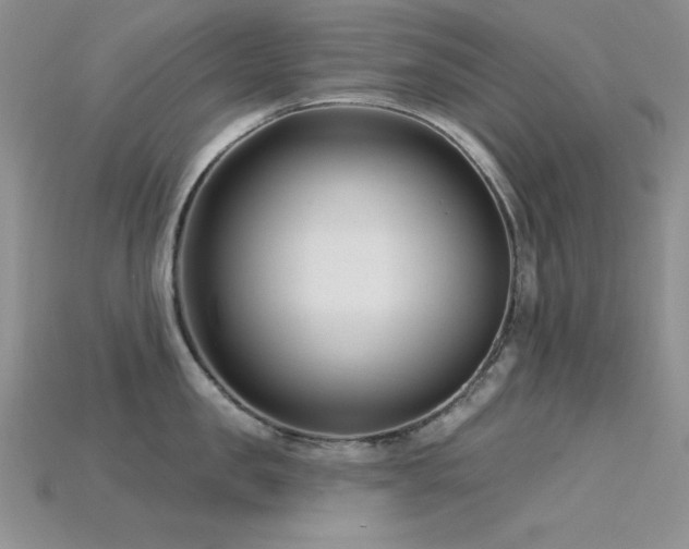 X0000115830957200911131503