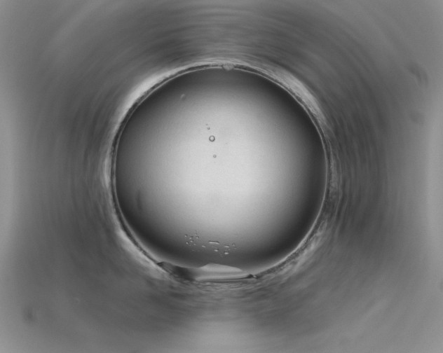 X0000115830958200911131503