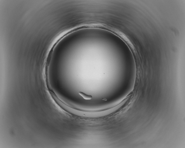 X0000115830959200911131503