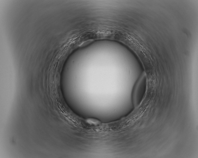 X0000115830961200911131502