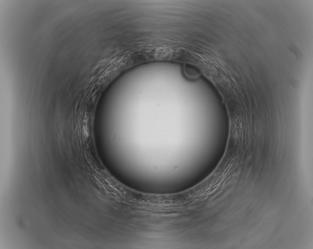 X0000115830962200911131502