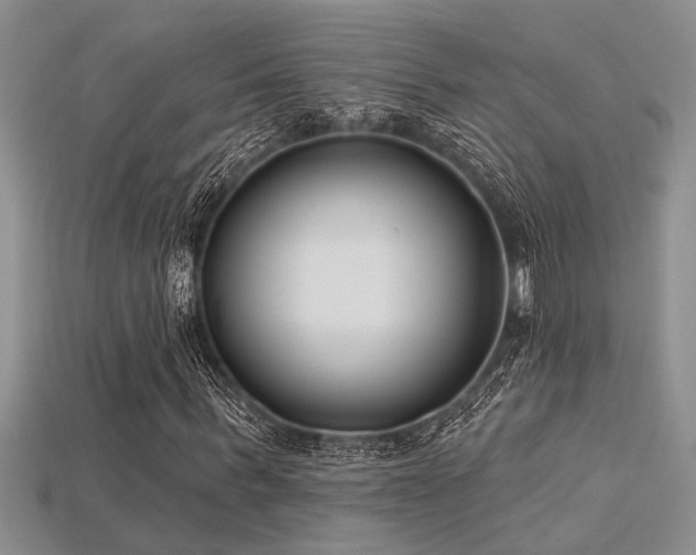 X0000115830963200911131502