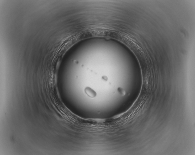 X0000115830964200911131502