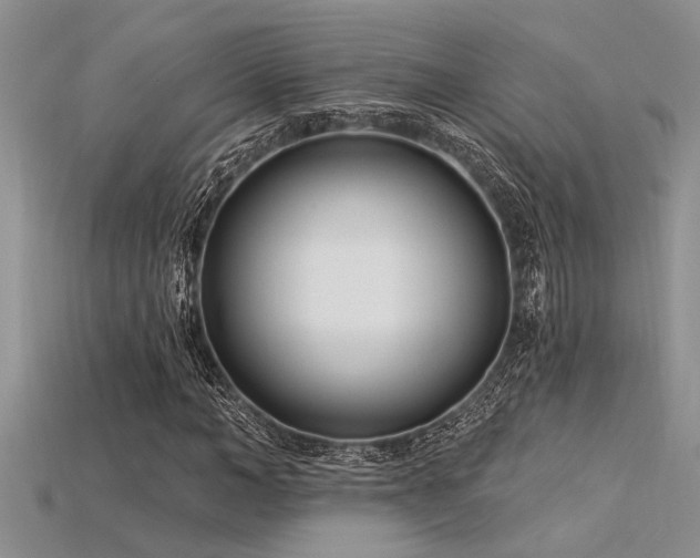 X0000115830966200911131502