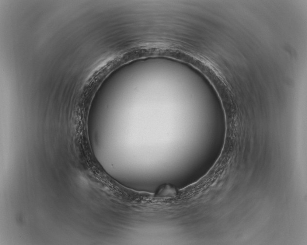 X0000115830967200911131502