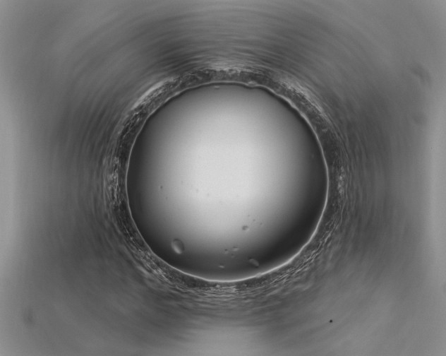 X0000115830968200911131502