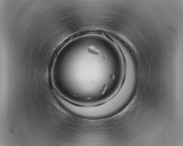 X0000115830969200911131502