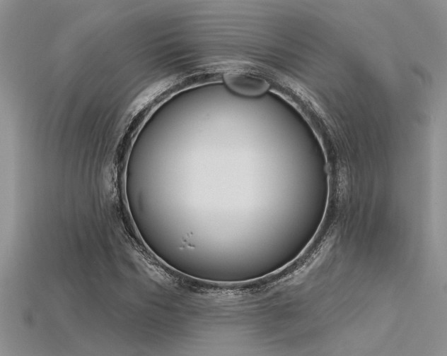 X0000115830970200911131502