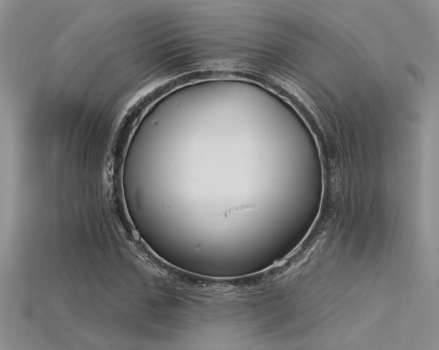 X0000115830971200911131502