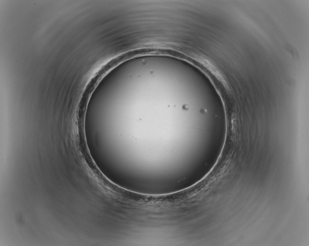 X0000115830972200911131502