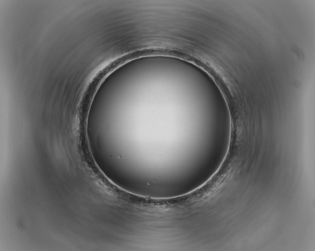 X0000115830975200911131502