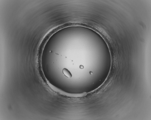 X0000115830976200911131502