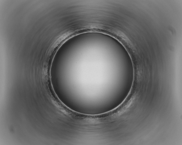 X0000115830977200911131502