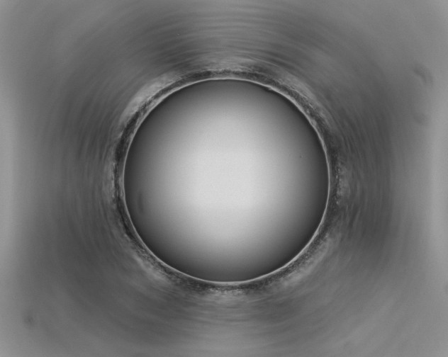 X0000115830978200911131502