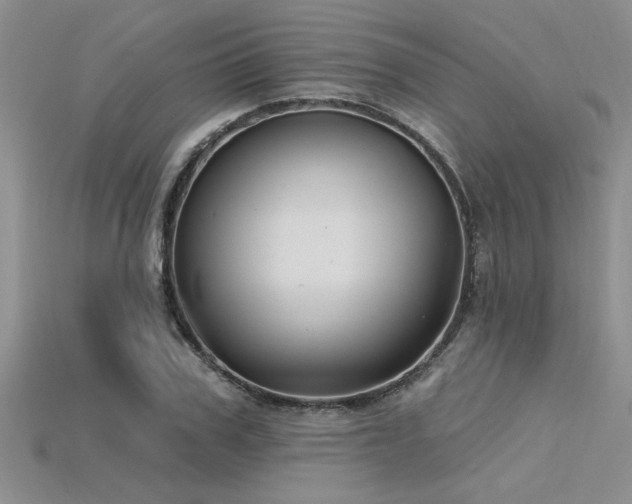 X0000115830979200911131502