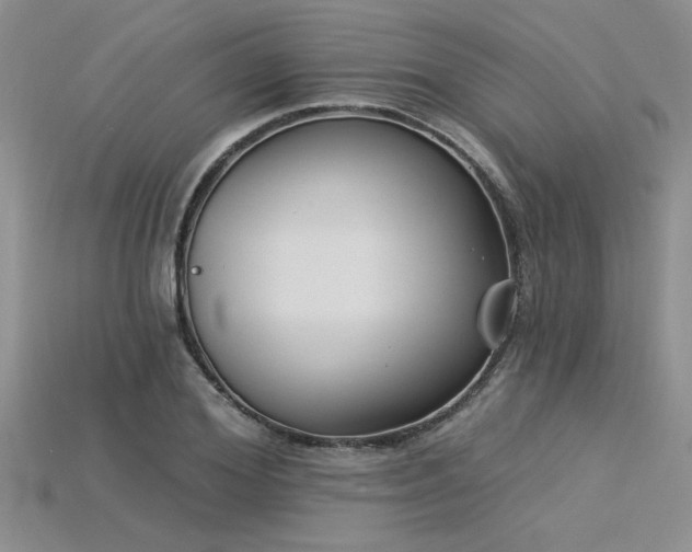 X0000115830980200911131502