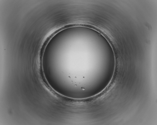 X0000115830982200911131502