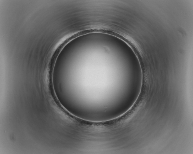 X0000115830983200911131502