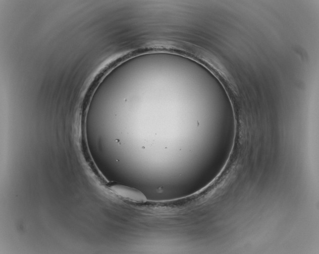 X0000115830984200911131502