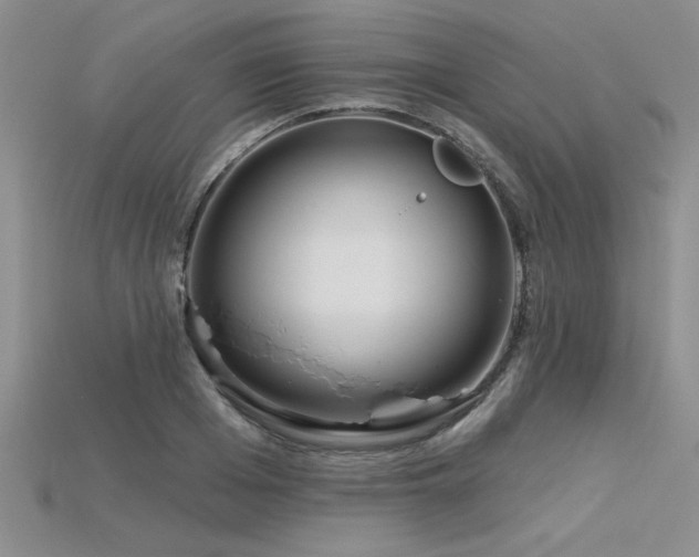 X0000115830985200911131502