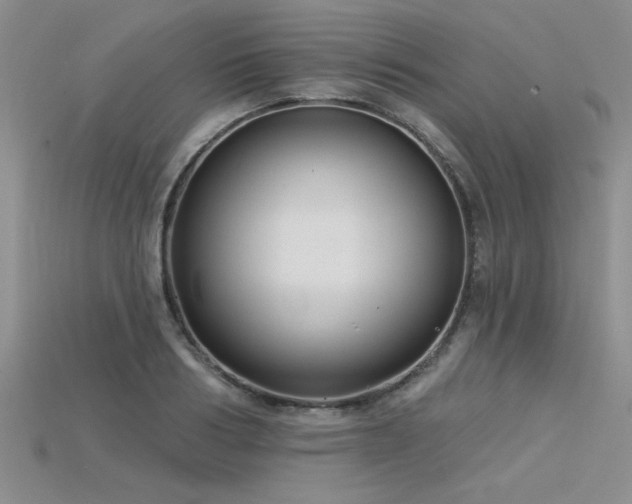 X0000115830986200911131502