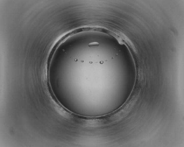 X0000115830988200911131502