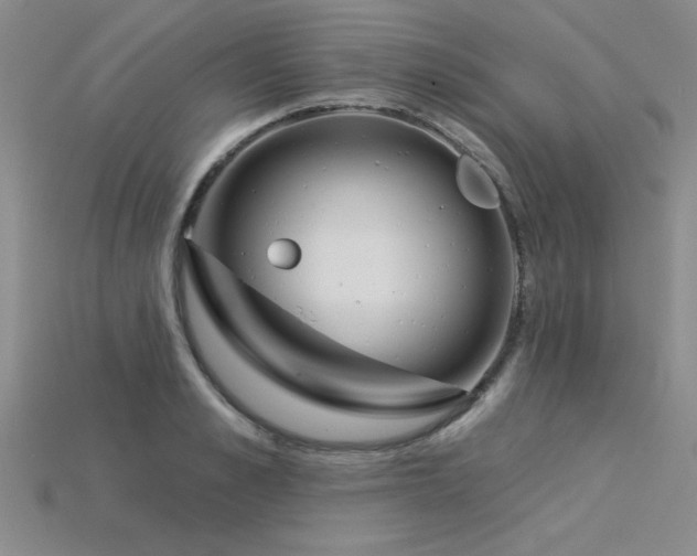 X0000115830989200911131502