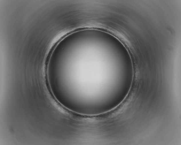 X0000115830990200911131502