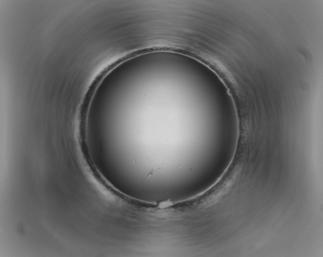 X0000115830991200911131502