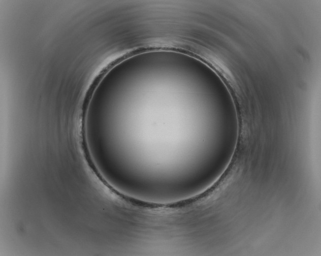 X0000115830992200911131502