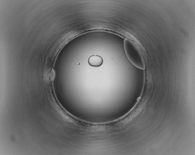 X0000115830993200911131502