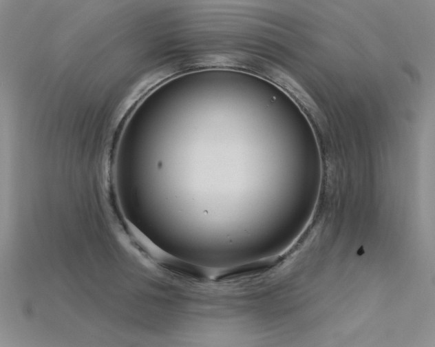 X0000115830994200911131502