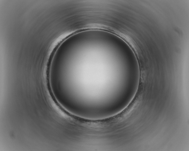 X0000115830995200911131502