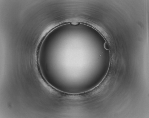 X0000115830998200911131502