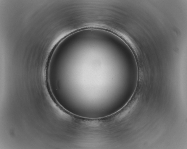 X0000115830999200911131502