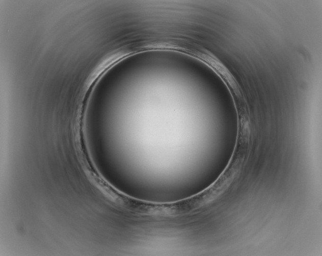 X0000115831002200911131501