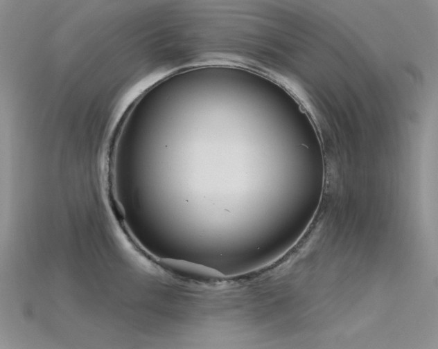 X0000115831003200911131501