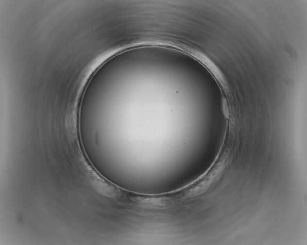 X0000115831004200911131501