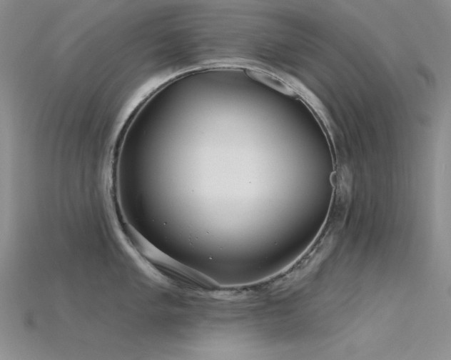 X0000115831005200911131501