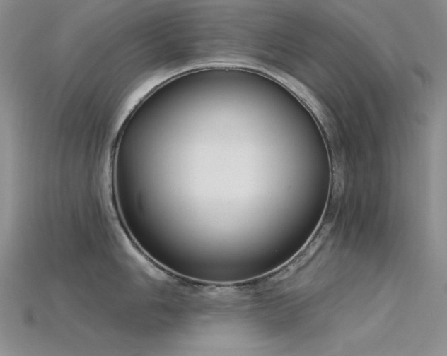 X0000115831006200911131501