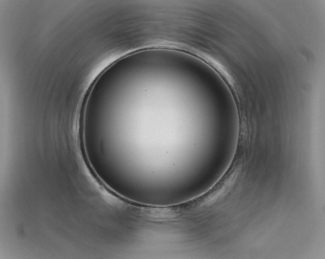 X0000115831007200911131501