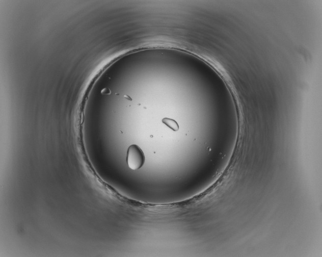 X0000115831008200911131501