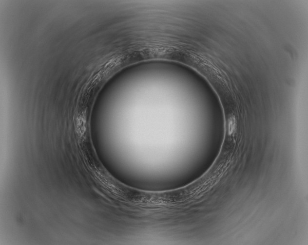 X0000115831011200911131501