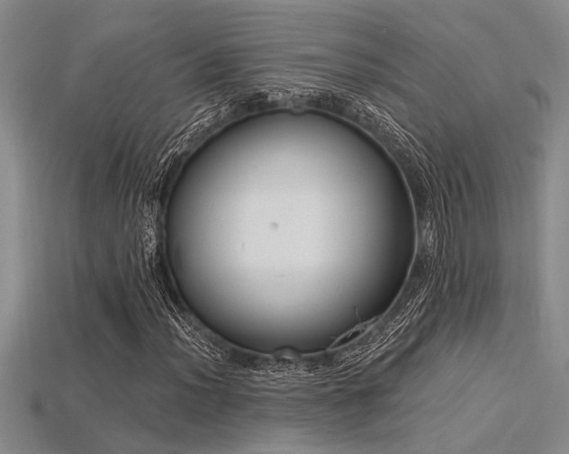 X0000115831012200911131501