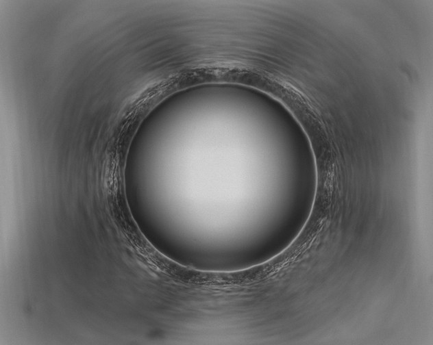 X0000115831014200911131501