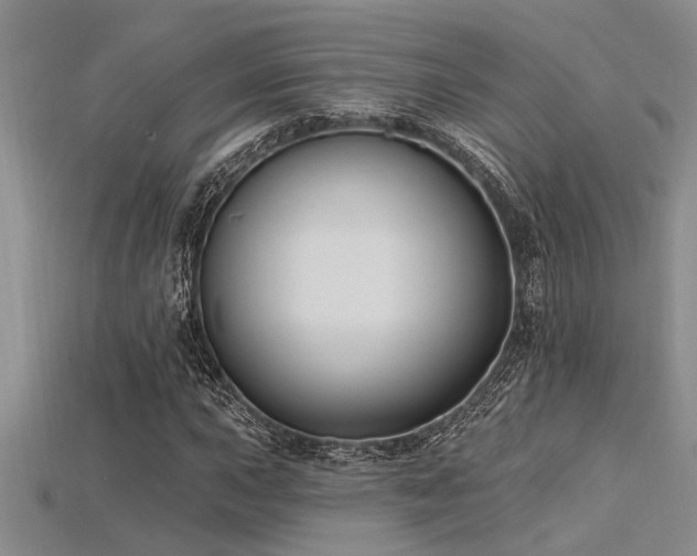 X0000115831015200911131501