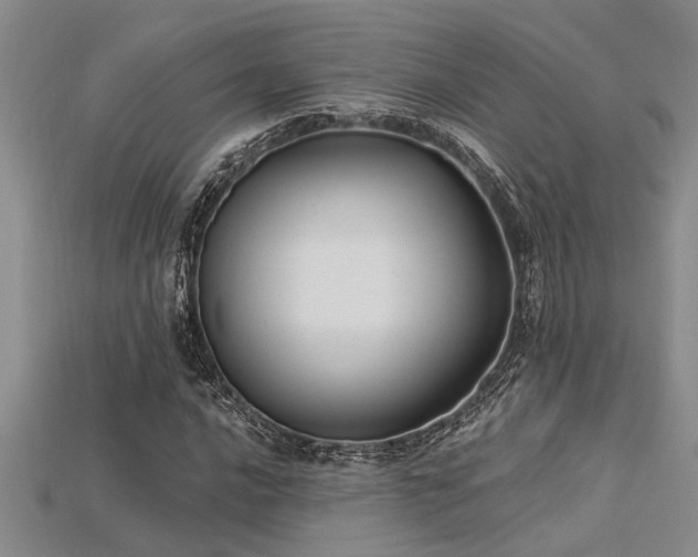 X0000115831016200911131501